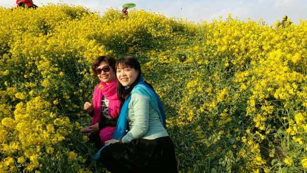 北湖邯郸油菜花（邯郸 油菜花）