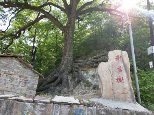 邯郸武安周边旅游（邯郸武安周边旅游景点推荐）