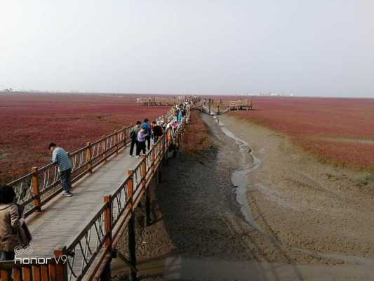 秦皇岛红海滩一日游（秦皇岛红海滩一日游多少钱）