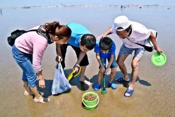 秦皇岛新开口在哪（秦皇岛新开口明天几点赶海）