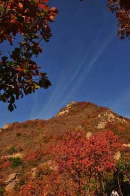 秦皇岛周边秋季旅游（秦皇岛周边秋季旅游景点）