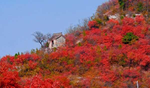 邯郸红叶最佳观赏地（邯郸红叶最好的地方）