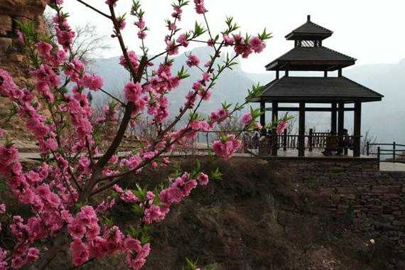 邯郸周围桃花（邯郸周围桃花源在哪里）