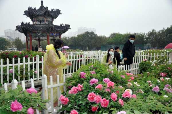 邯郸赏菏泽牡丹旅游（邯郸赏菏泽牡丹旅游路线）