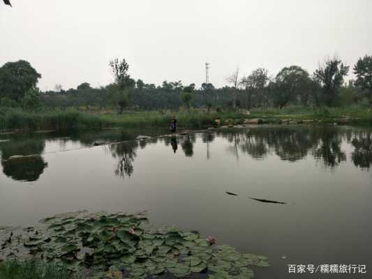 邯郸钓鱼历史（邯郸钓鱼历史由来）