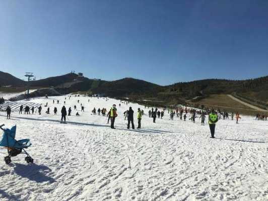 邯郸永年佛山滑雪（永年佛山滑雪心得体会）